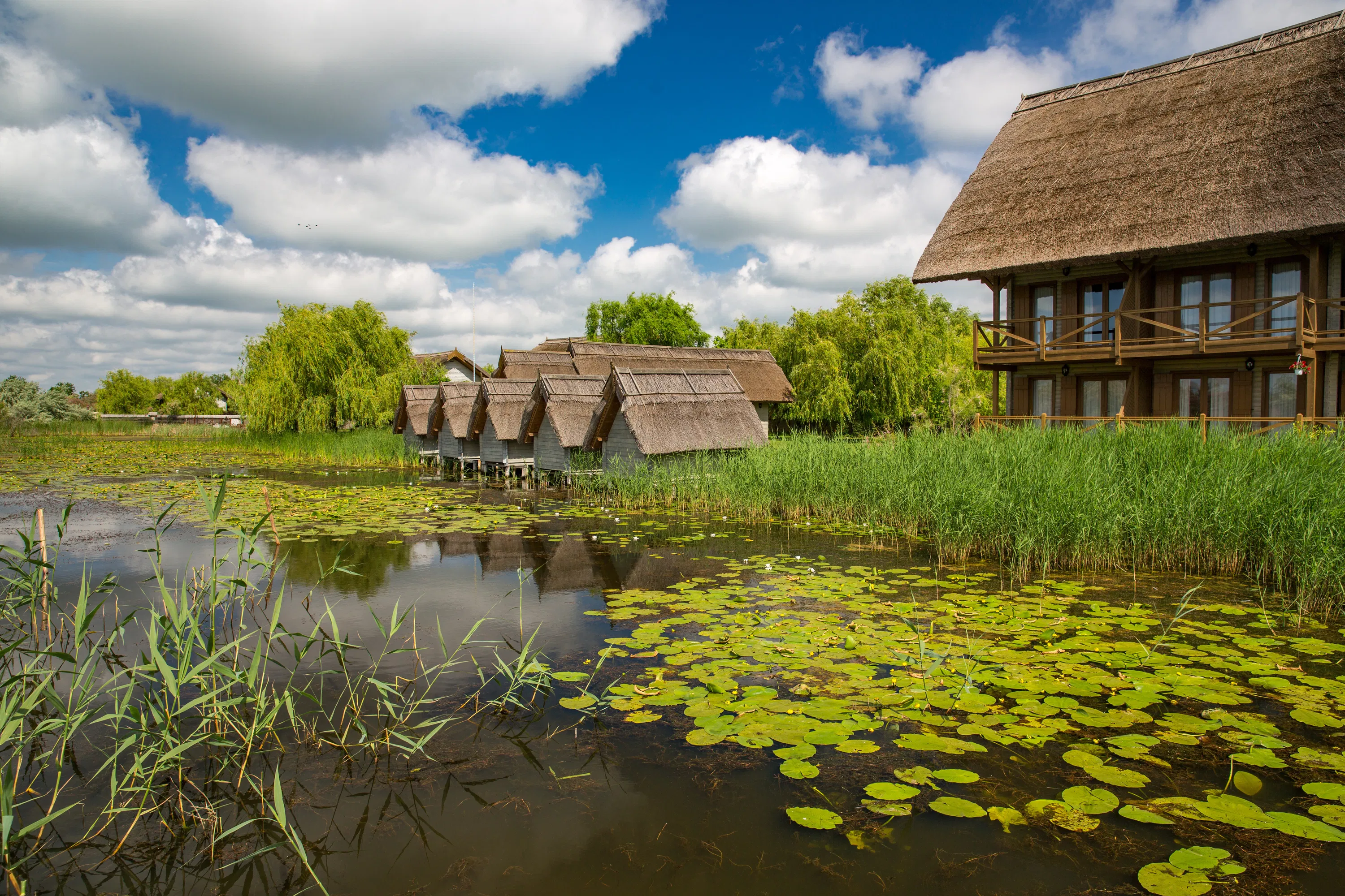 Danube Delta Full Day Trip from Bucharest