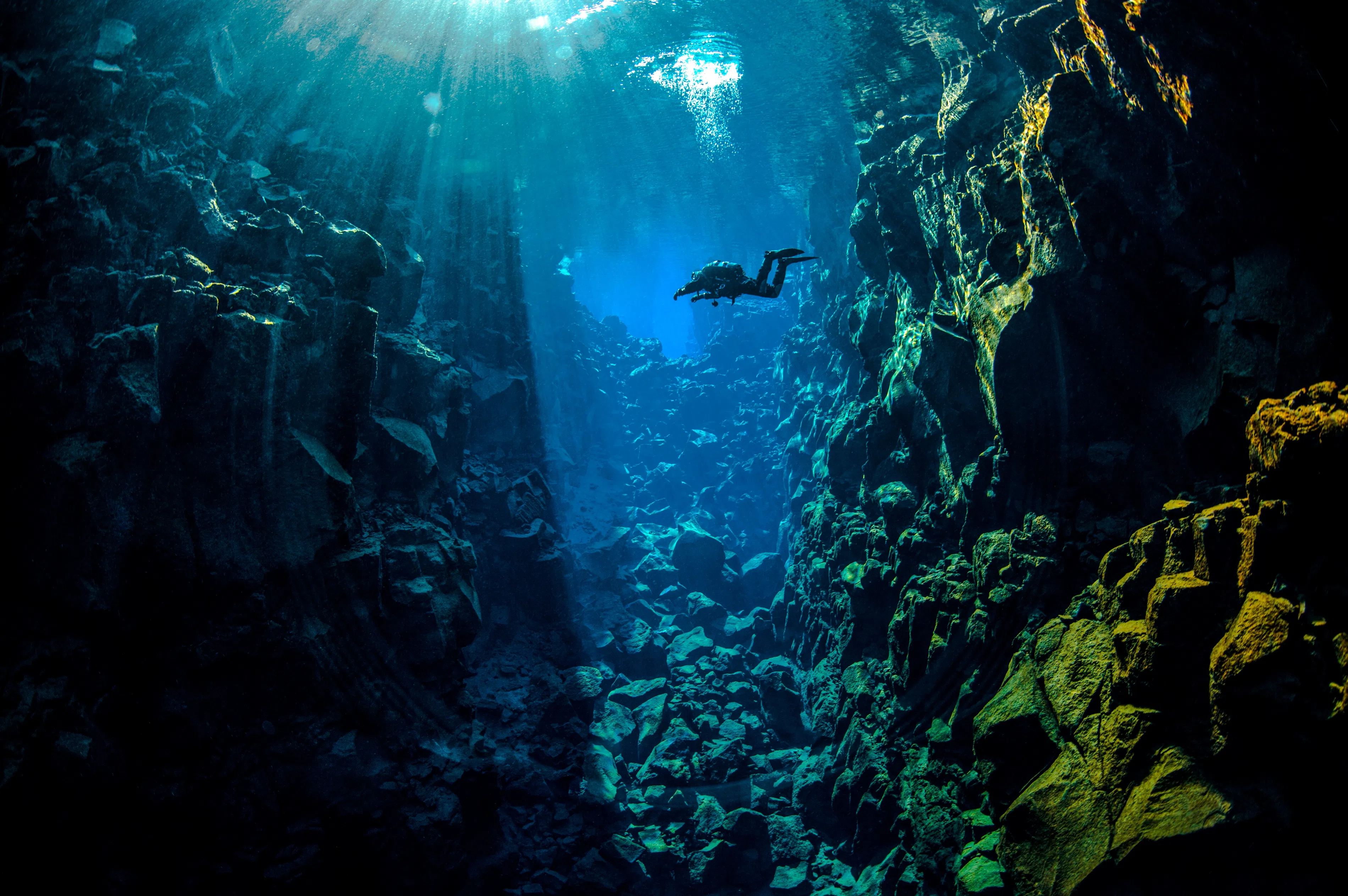 Deep Into the Blue - Silfra Diving from Reykjavík