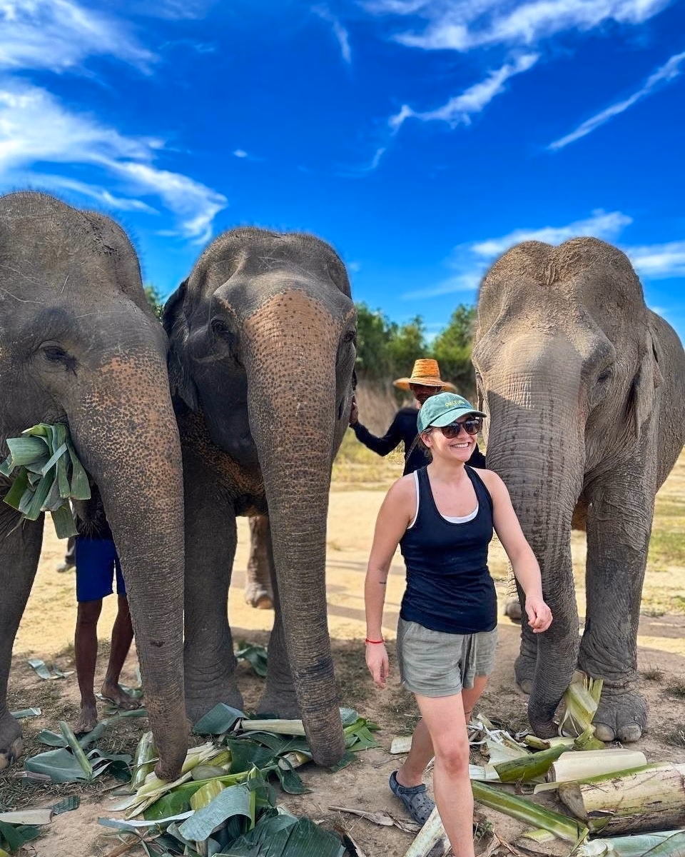 Cambodia Elephants and Phnom Kulen National Park Day Tour