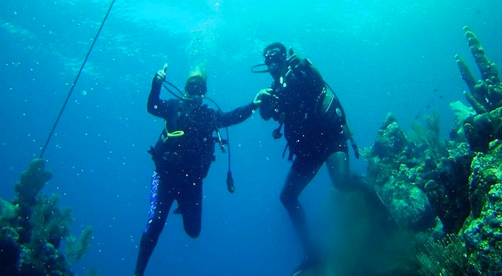 2 Tank Roatan Fun Dive, Boat Sightseeing Tour, including ground transportation