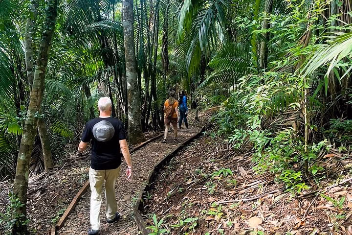 Guided hike in the Metropolitan Park of Panama