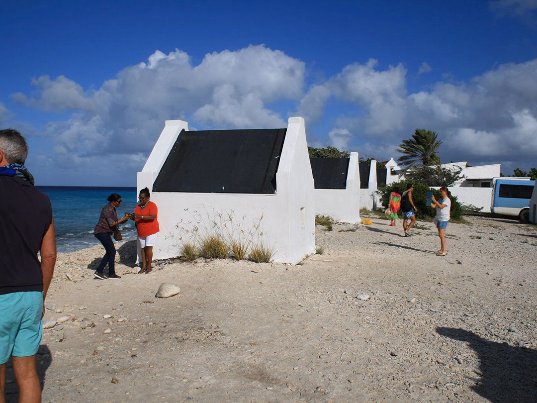 North & South Tour with Local Guide + Beach Time
