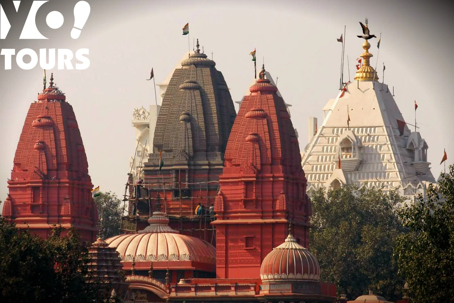 Free Walking Tour Delhi