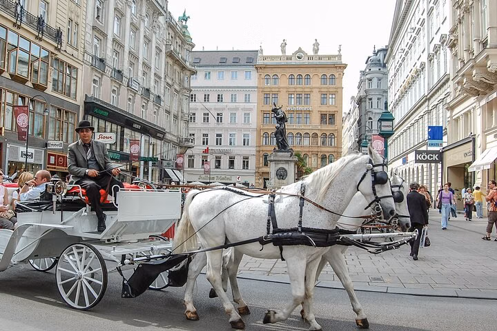 Layover in Vienna a Private Tour with a local: Best Highlights of Vienna