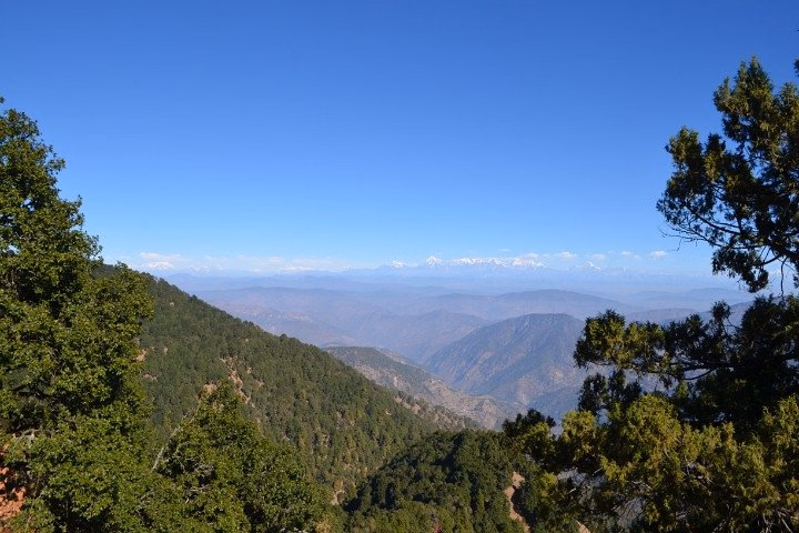 Nainital Nature Trekking Experience (3 Hours guided experience)