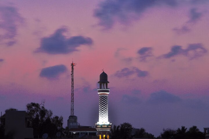 Free Walking Tour Chandigarh
