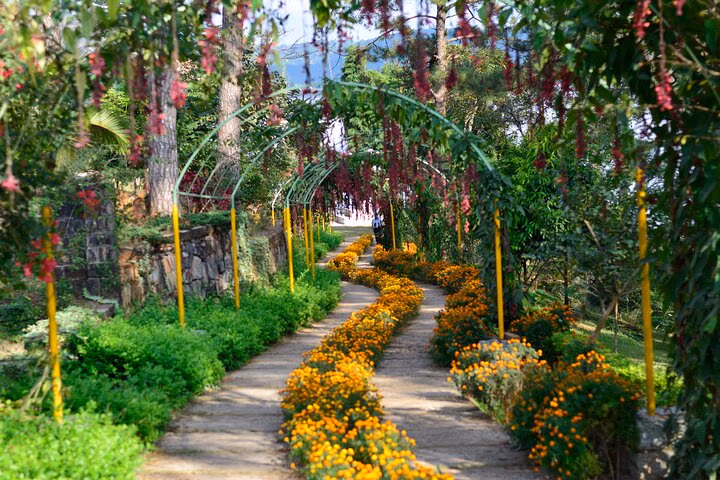 Day Trip to Mawlynnong (Guided Private Sightseeing Experience from Shillong)