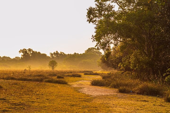Day Trip to Sundarbans (Guided Private Sightseeing Experience from Kolkata)