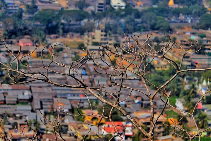 Heritage & Cultural Walk of Guwahati (2 Hours Guided Walking Tour)