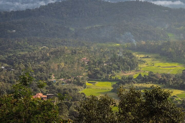 Nature & Spiritual Trails of Coorg (2 Hours Guided Walking Tour)