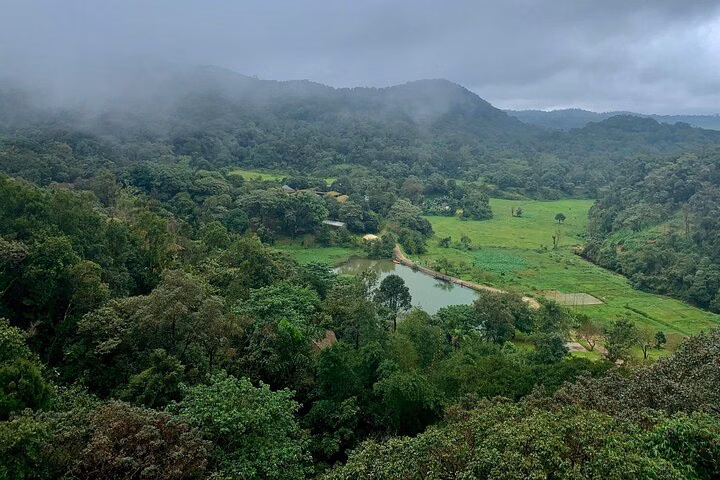 Day Trip to Coorg (Guided Sightseeing Tour by Car from Mysore)