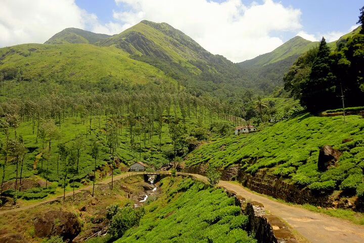 Day Trip to Wayanad (Guided Private Sightseeing Experience from Mysore)
