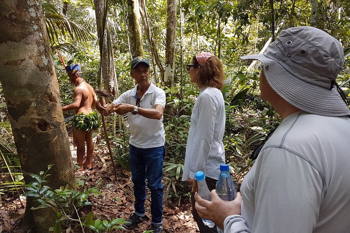 Amazon Forest Tour 4-Hour Trekking