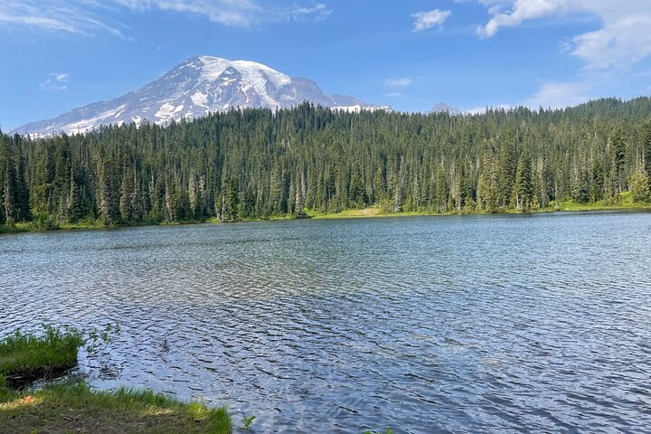 Full-Day Mt Rainier National Park Private Tour in SUV
