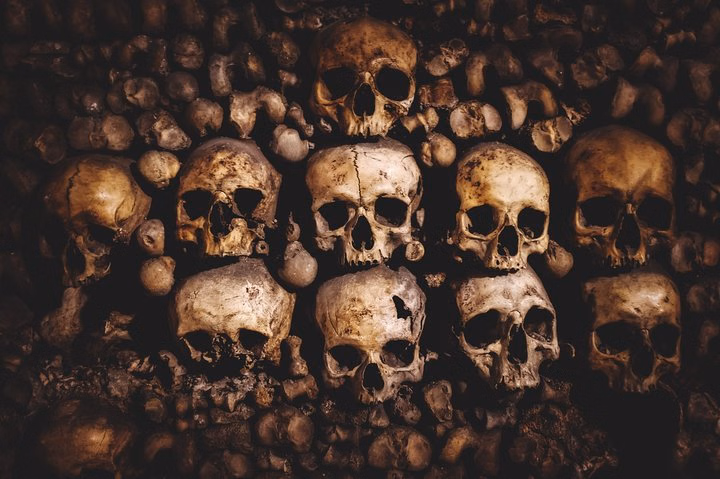 Catacombs of Paris: SKIP-THE-LINE + Private Audio Tour on Mobile App (DE)