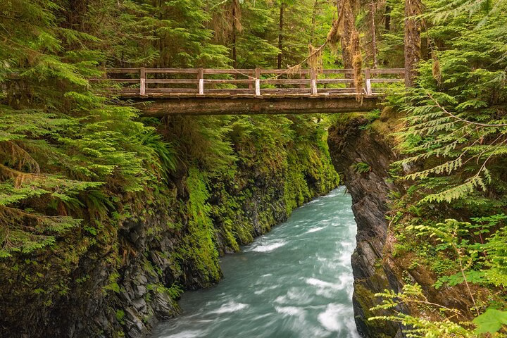 Explore Olympic National Park from Seattle through Van /Ferry