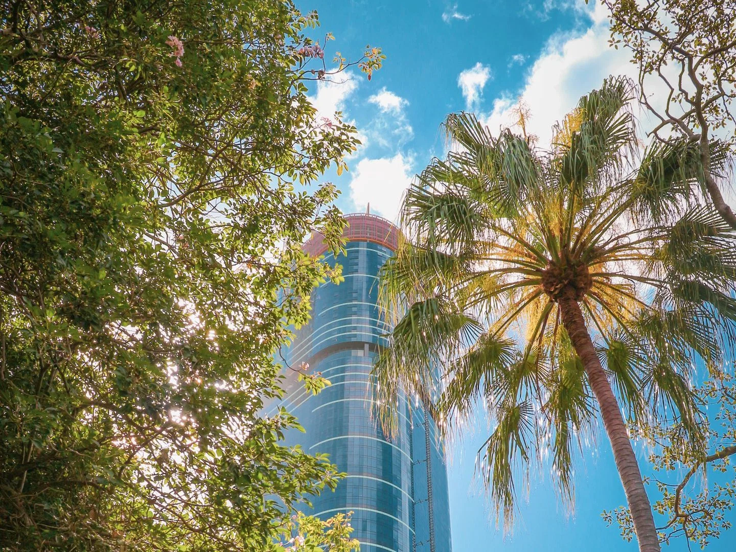 Brisbane City Botanic Gardens: Walking Audio Tour on Mobile App