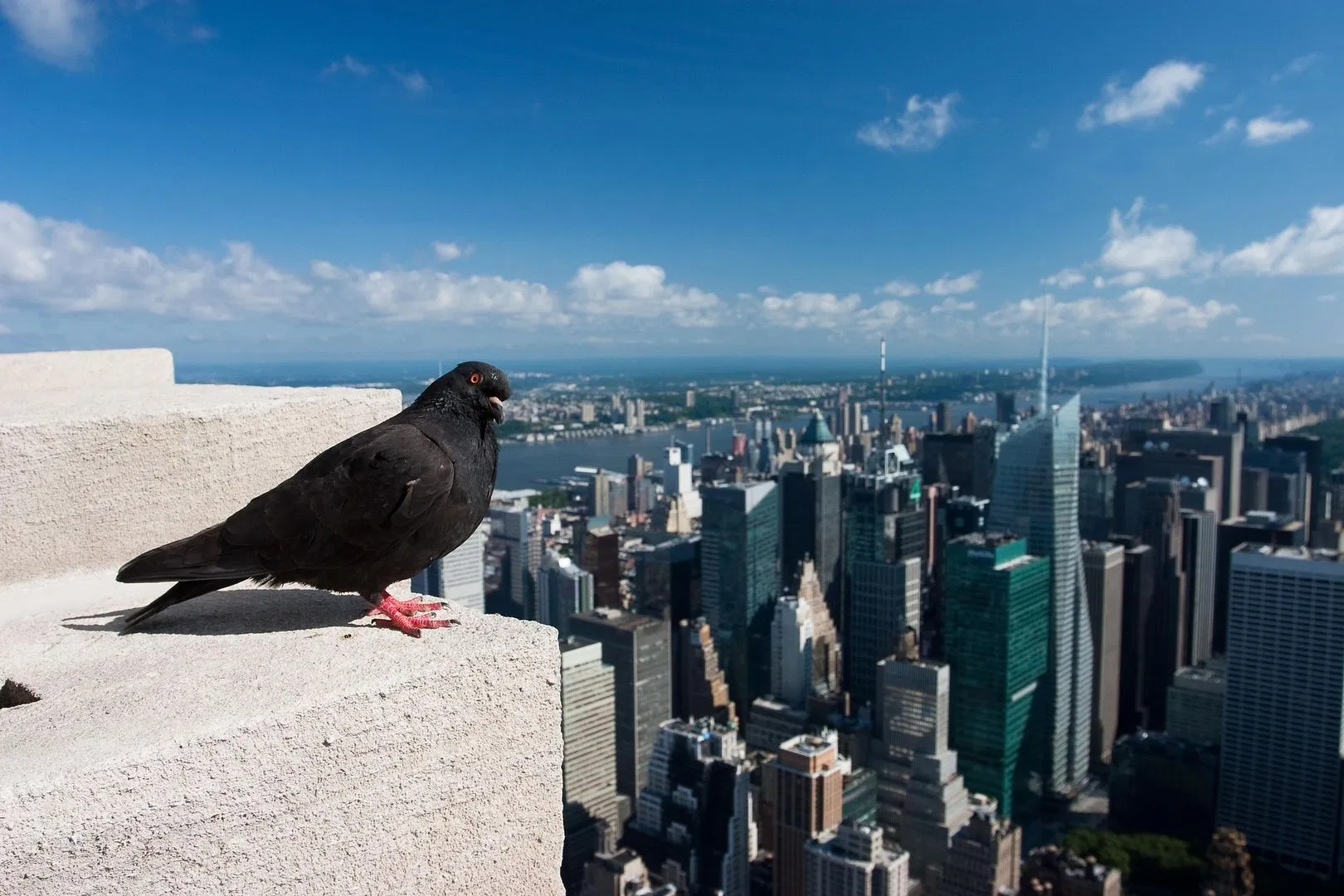 Midtown Manhattan Self-Guided Audio Tour Around The Empire State Building