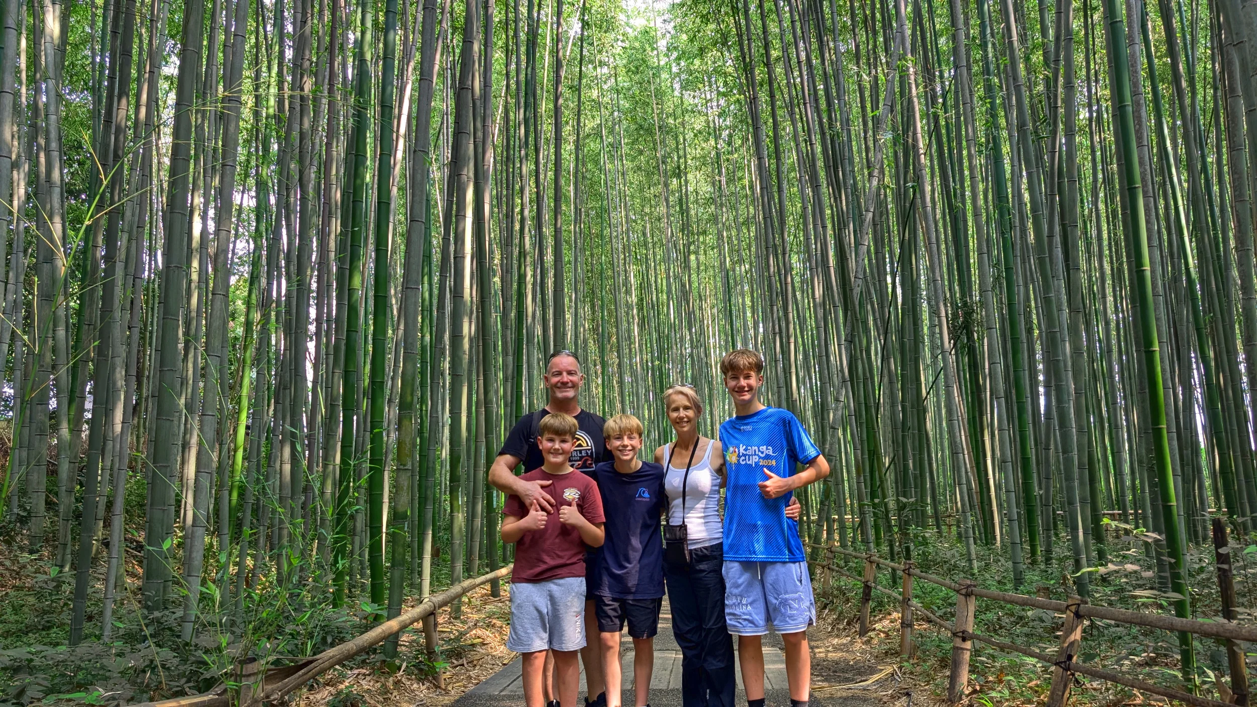 Kyoto Explore Arashiyama Walking Tour
