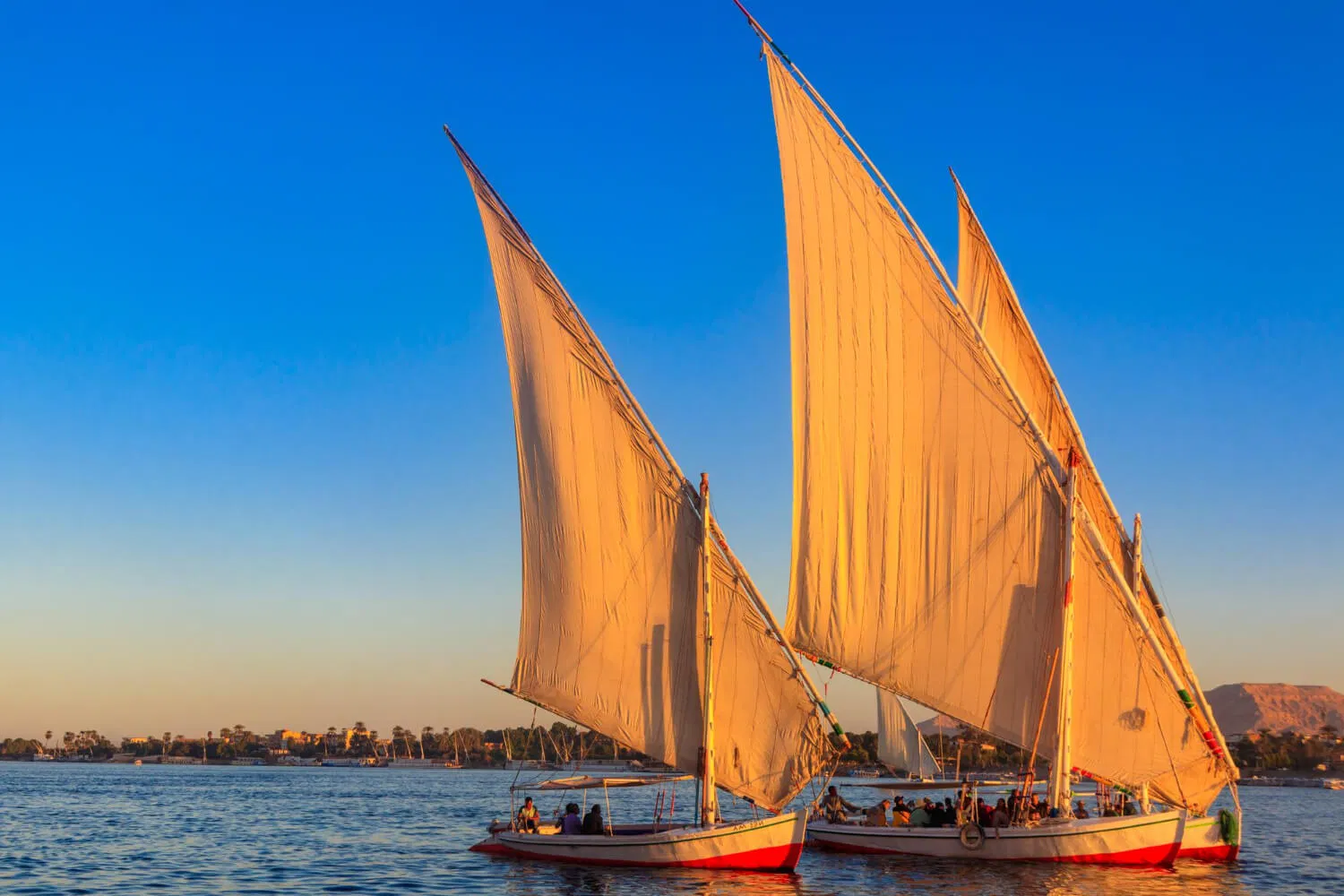 Aswan Day Tour
