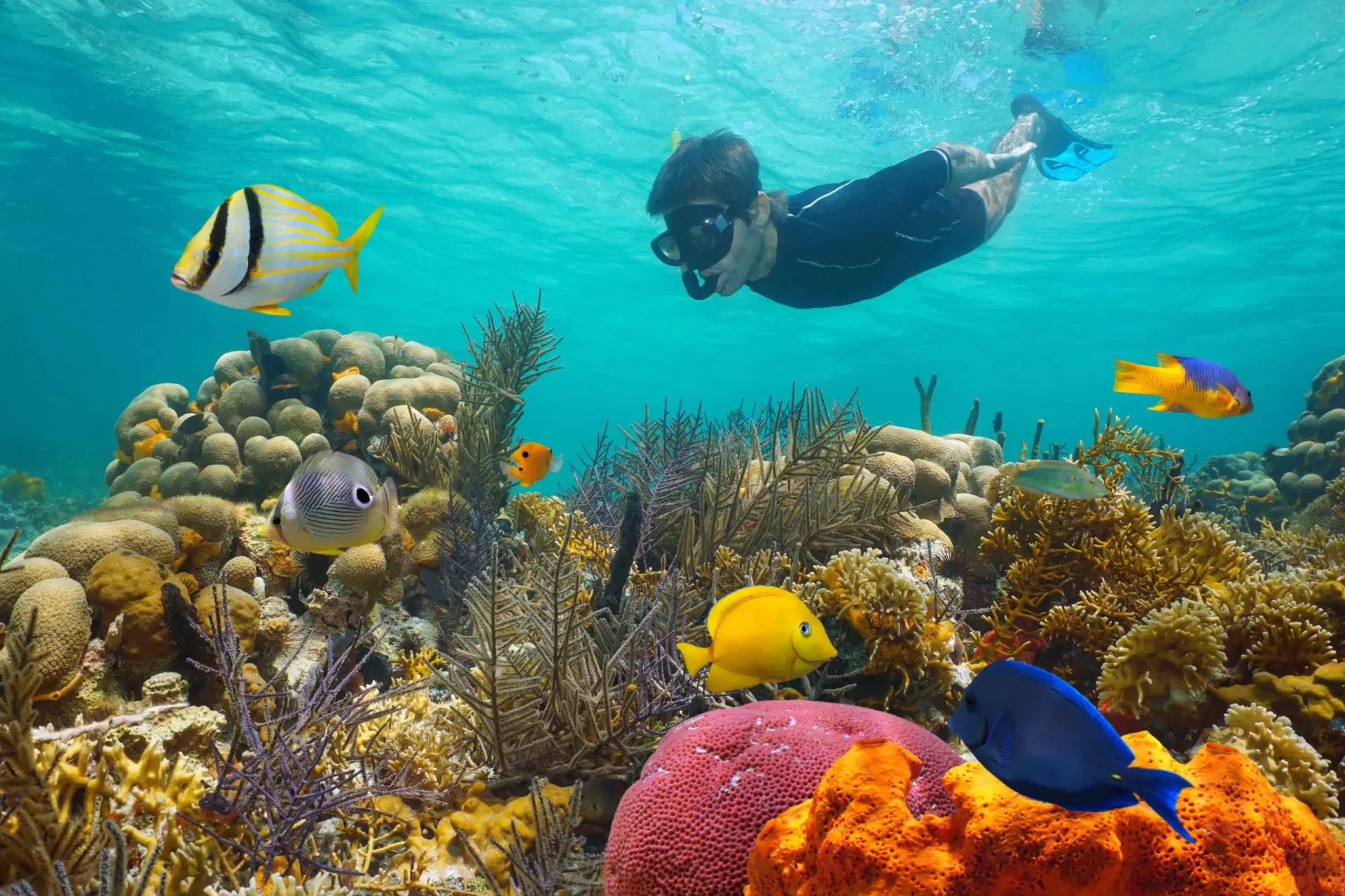 Miami: Key West Day Trip with Snorkeling and Open Bar
