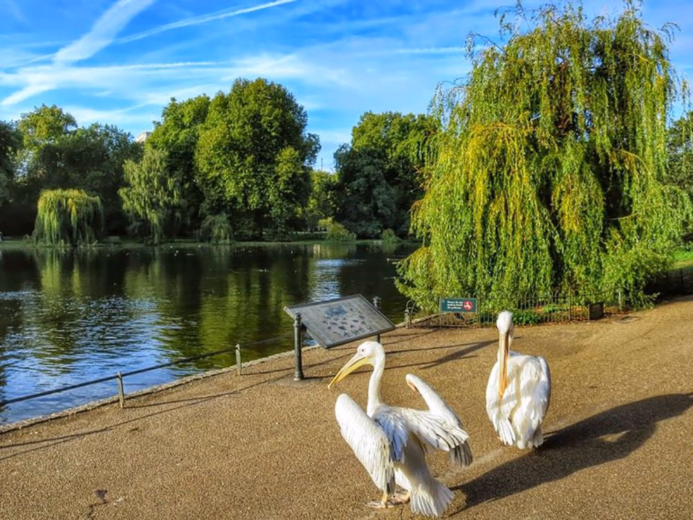 The Mall and Royal London Self-Guided Audio Tour