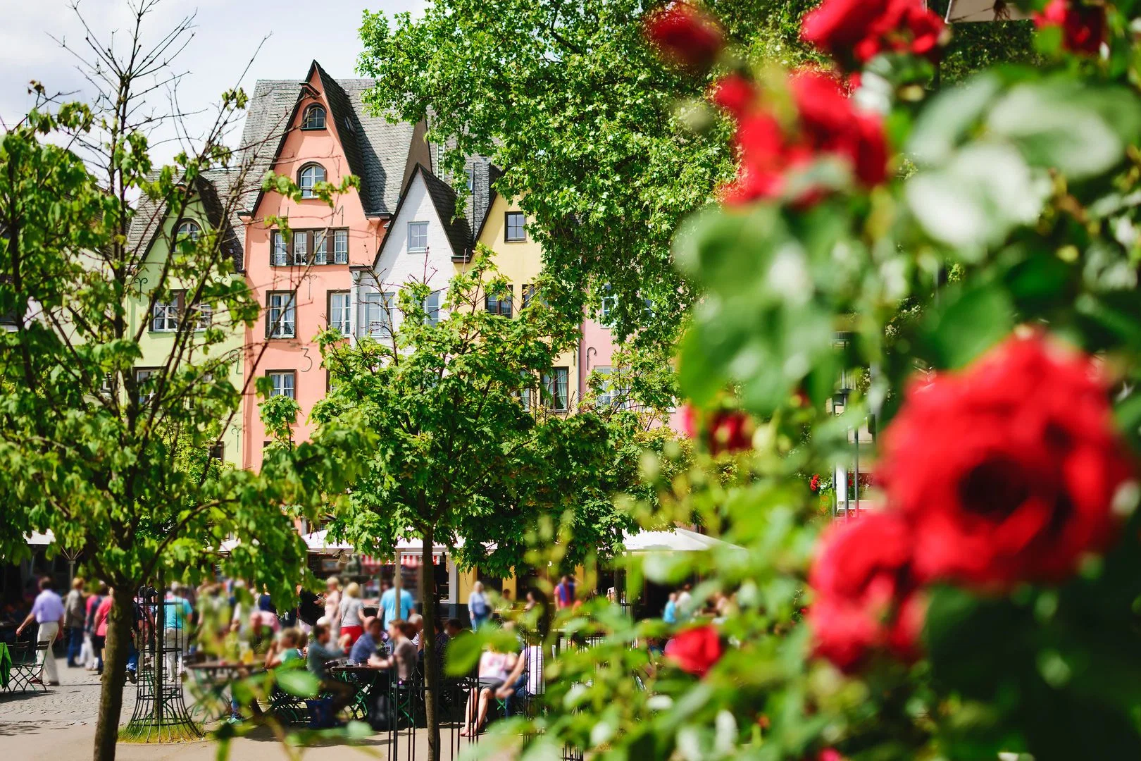 Cologne Self-Guided Audio Tour: History, Architecture, and Beer!