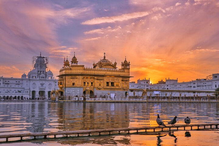 Amritsar's Golden Bliss and Border Spectacle Private Tour
