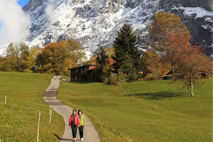 Full-Day Guided Tour to Interlaken and Grindelwald from Lucerne