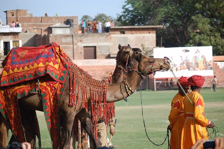 Jaipur: Pink City Photography Walk (2-Hours Private Guided Tour)