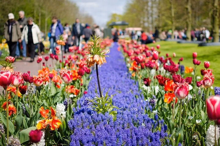 Keukenhof Gardens Day Trip from Amsterdam - Private & Custom Tour