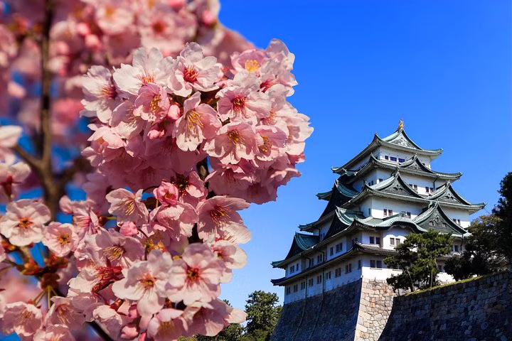 Nagoya Full-Day Tour with a Local- 100% Personalized & Private