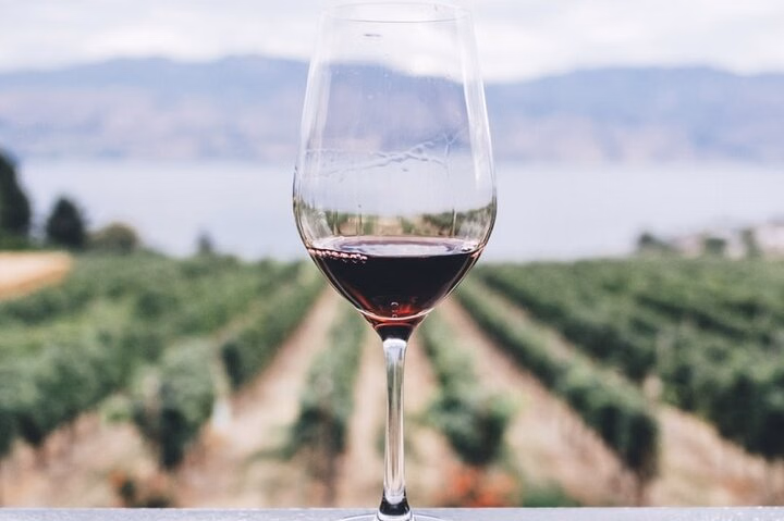 Kefalonia Wine Adventure with 18 Wine Tastings in 3 Wineries