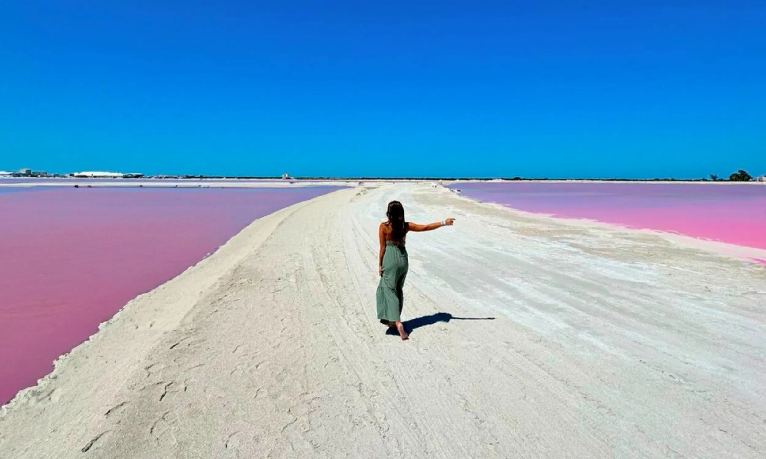 From Riviera: Rio Lagartos & Las Coloradas