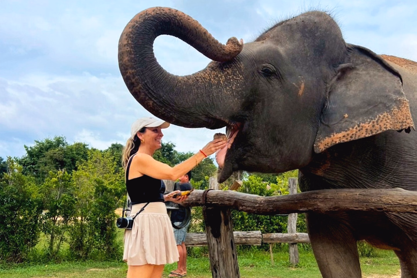 Cambodia Elephants Haft Day Experiences from Siem Reap