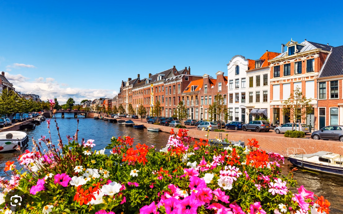 From Amsterdam by train: Haarlem walking tour from Amsterdam
