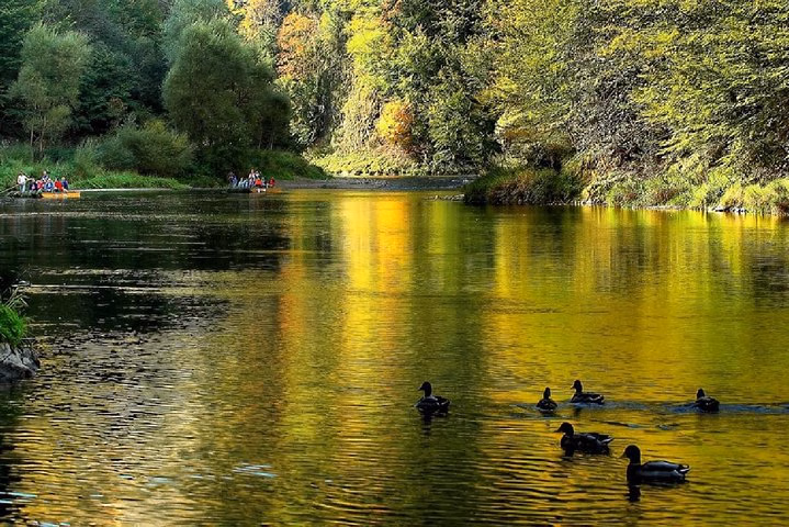 From Krakow: Dunajec Rafting & Thermal Baths