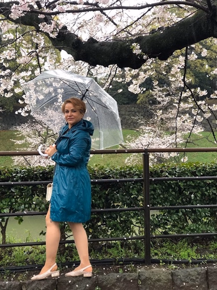 Discover Japan In 10 Days the Land of Tradition and Innovation