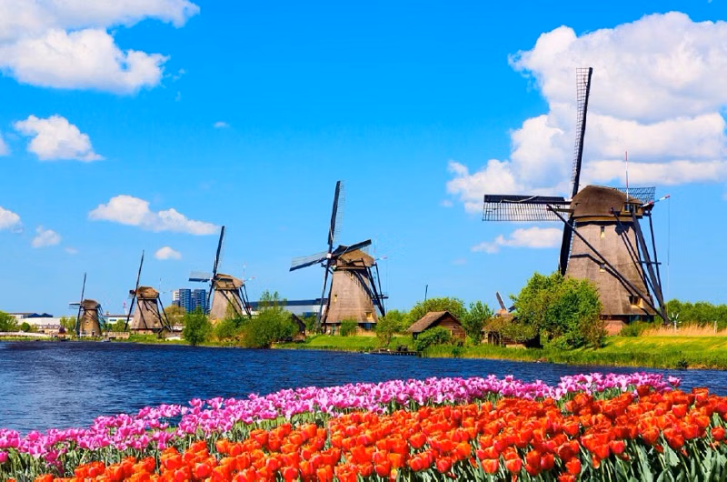 Kinderdijk, Delft & The Hague Day Tour