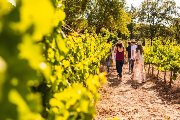 Montserrat Full Day Tour with Farmhouse Lunch and Winery Experience