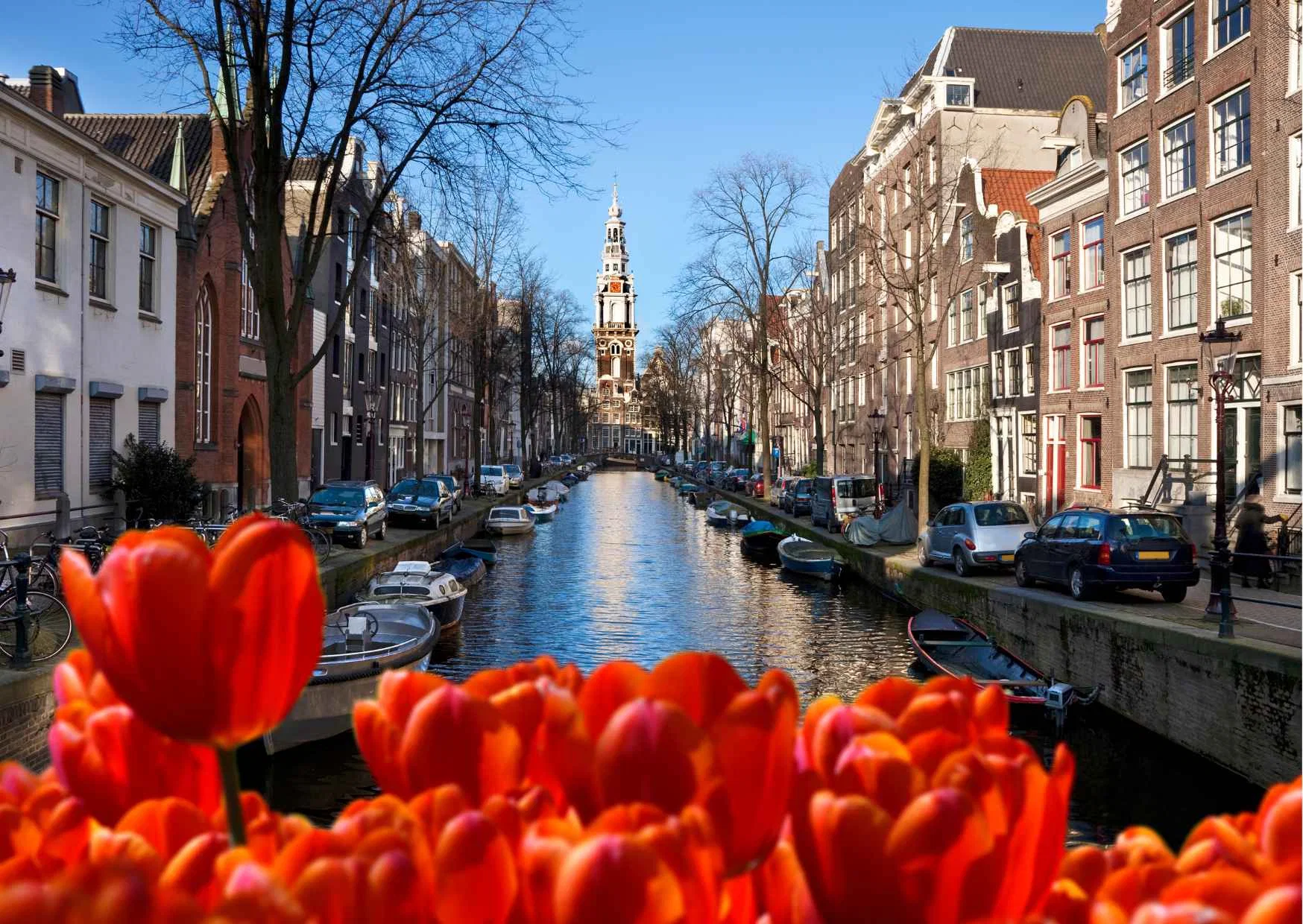 Amsterdam Hop-on and Hop off Bus Tour - 24h/48h