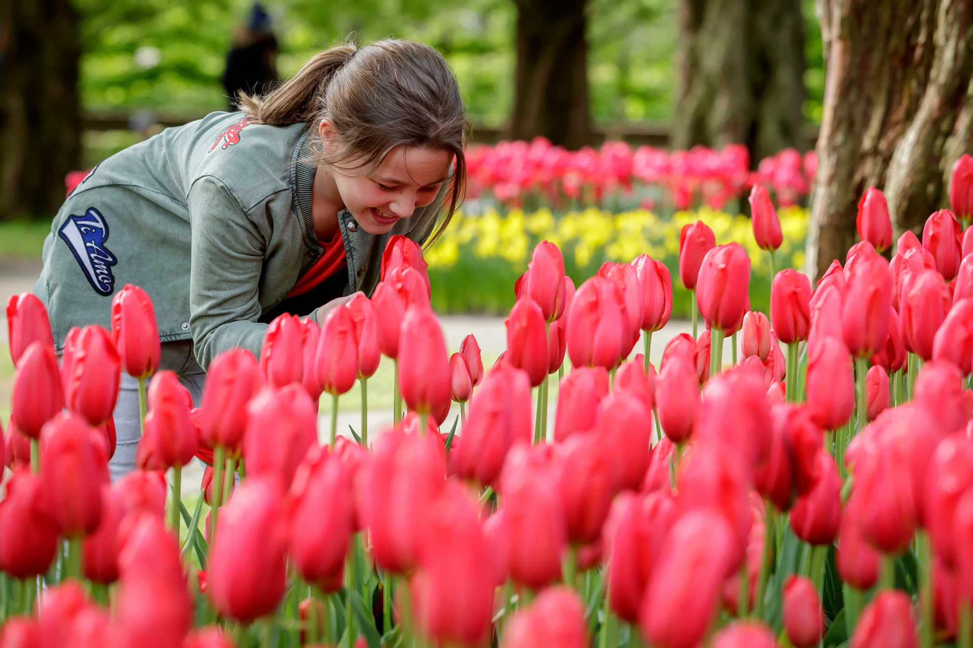 Keukenhof Garden Skip the line Entrance Ticket