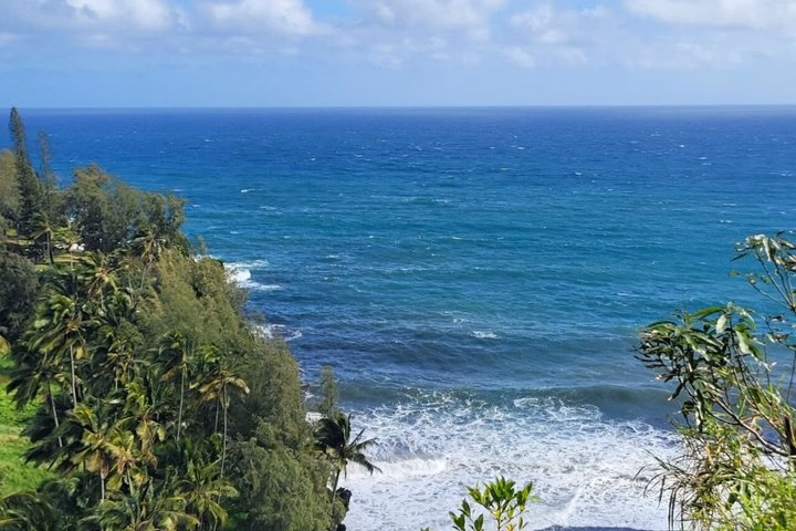 Full Day Private Maui Waterfall, Beach & Hana Tour