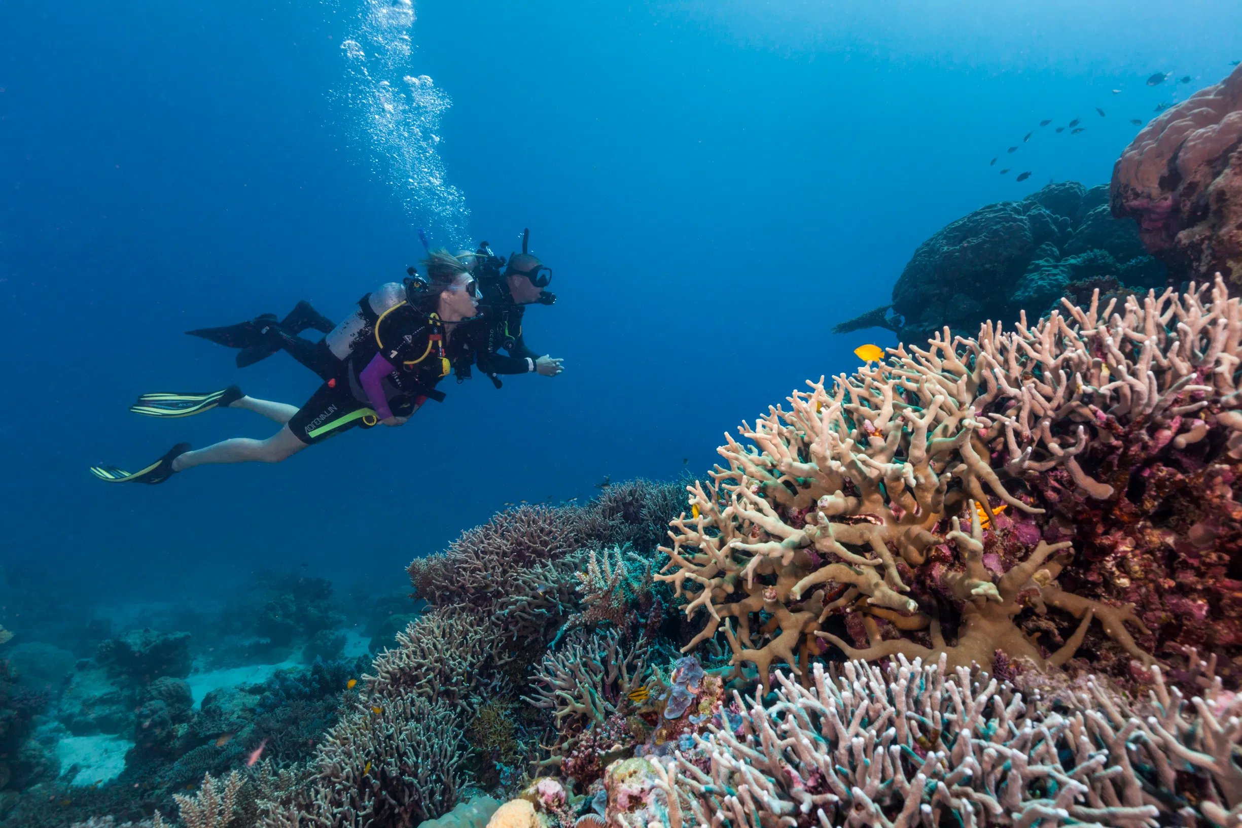 Discover Scuba Diving In Kefalonia