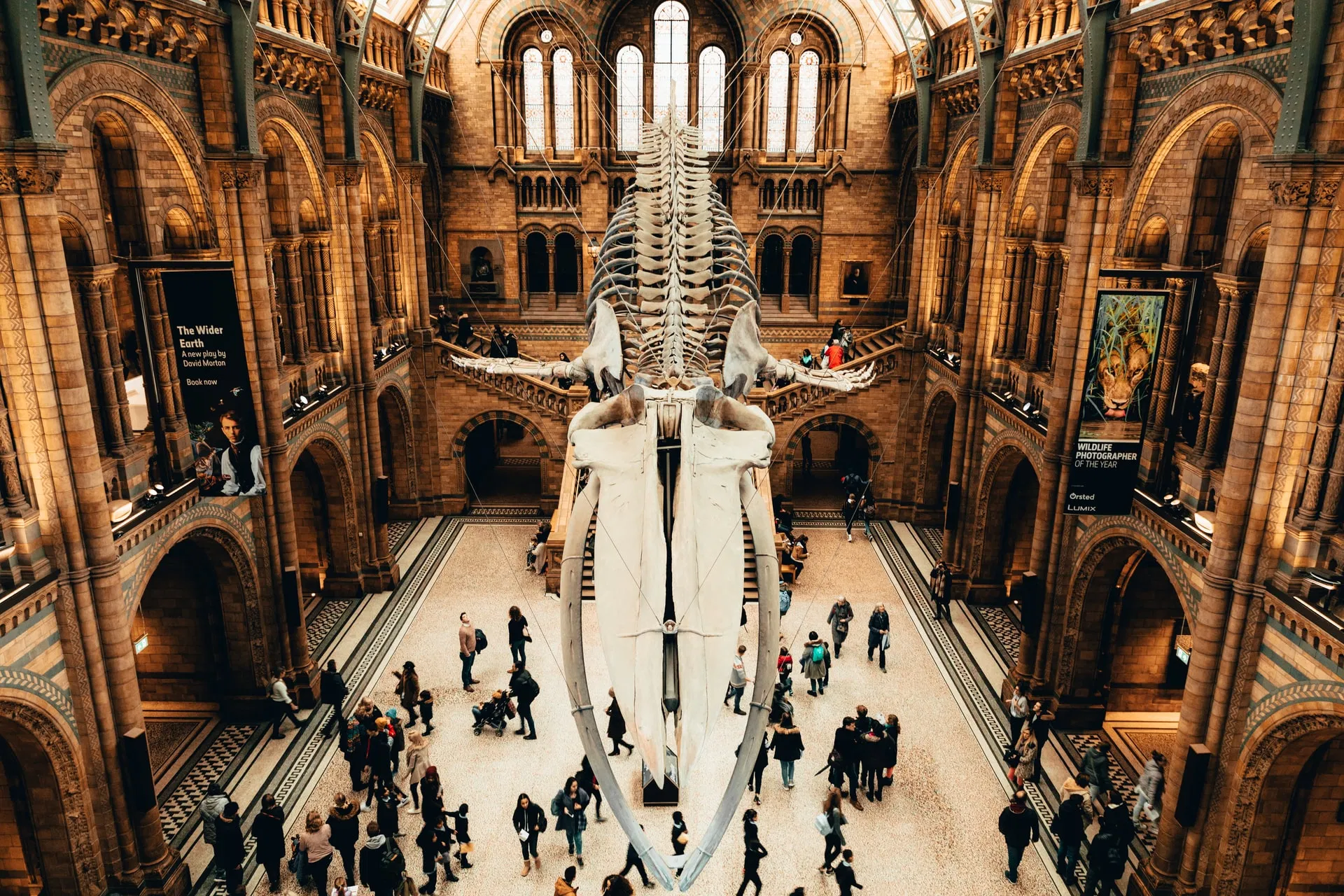 London: Natural History Museum In-App Audio Tour (CN)
