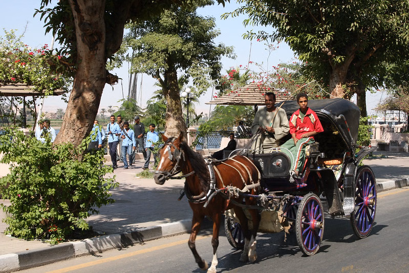 City Tour by Horse Carriage - Hantour
