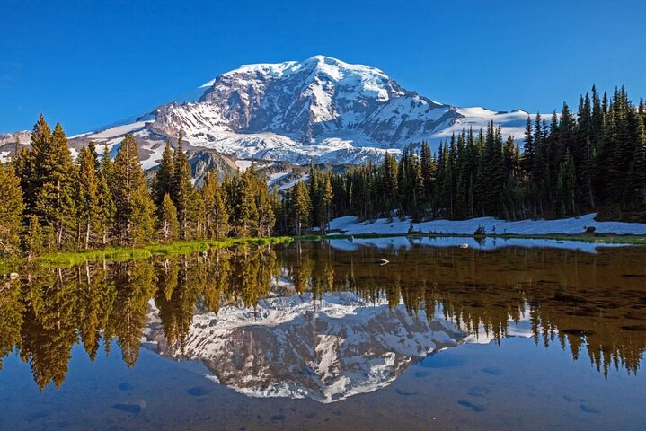 From Portland to Mt. Rainier Tour in a small group