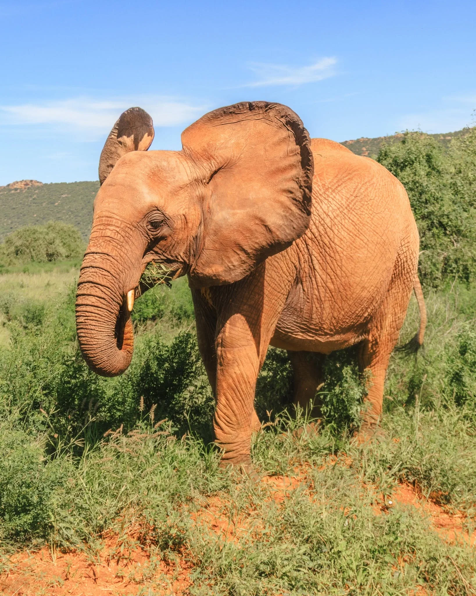 3 Day Samburu National Reserve Safari