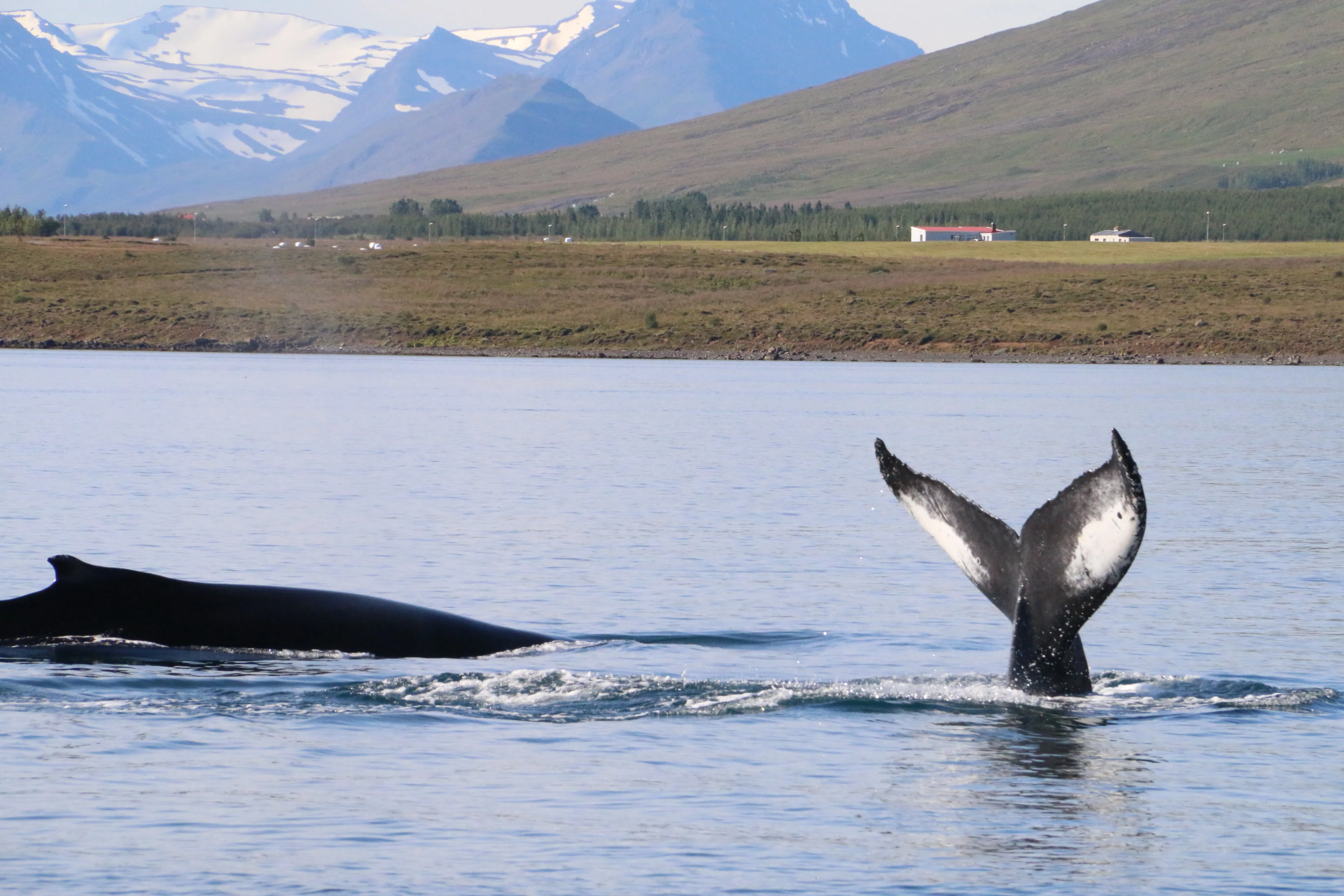 8 Day - Iceland Ring Road Tour - Standard Package