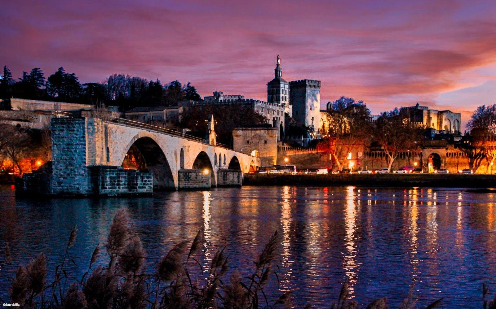 Avignon: Palais to Rocher History In-App Audio Tour